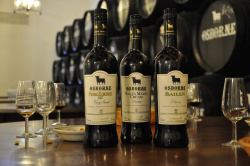 wine-3349701_960_720