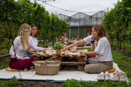 picknick-wijngaard-de-linie-buiten